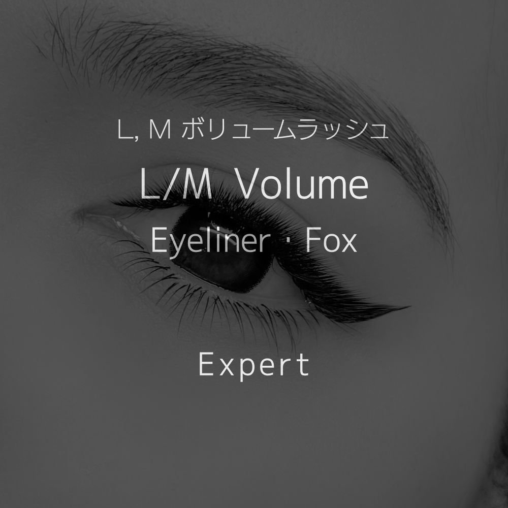 12 L,M volume / Eyeliner, FOX (エキスパート)