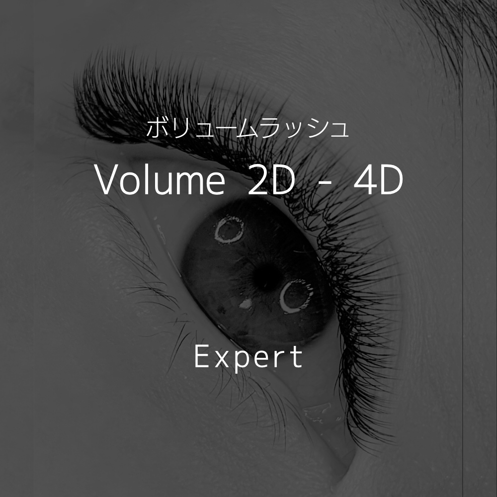 6　Volume 2D - 4D (エキスパート)